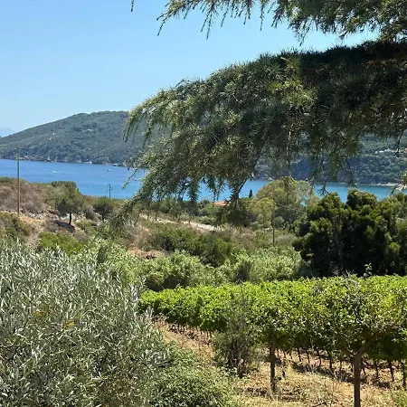 Casa Katia, Giuliana & Nami Лакона